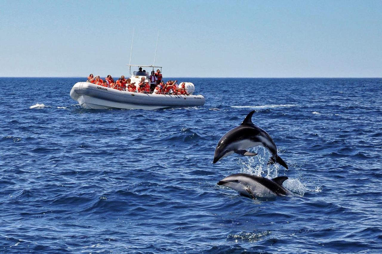 La Tosca Hostel Puerto Madryn Dış mekan fotoğraf