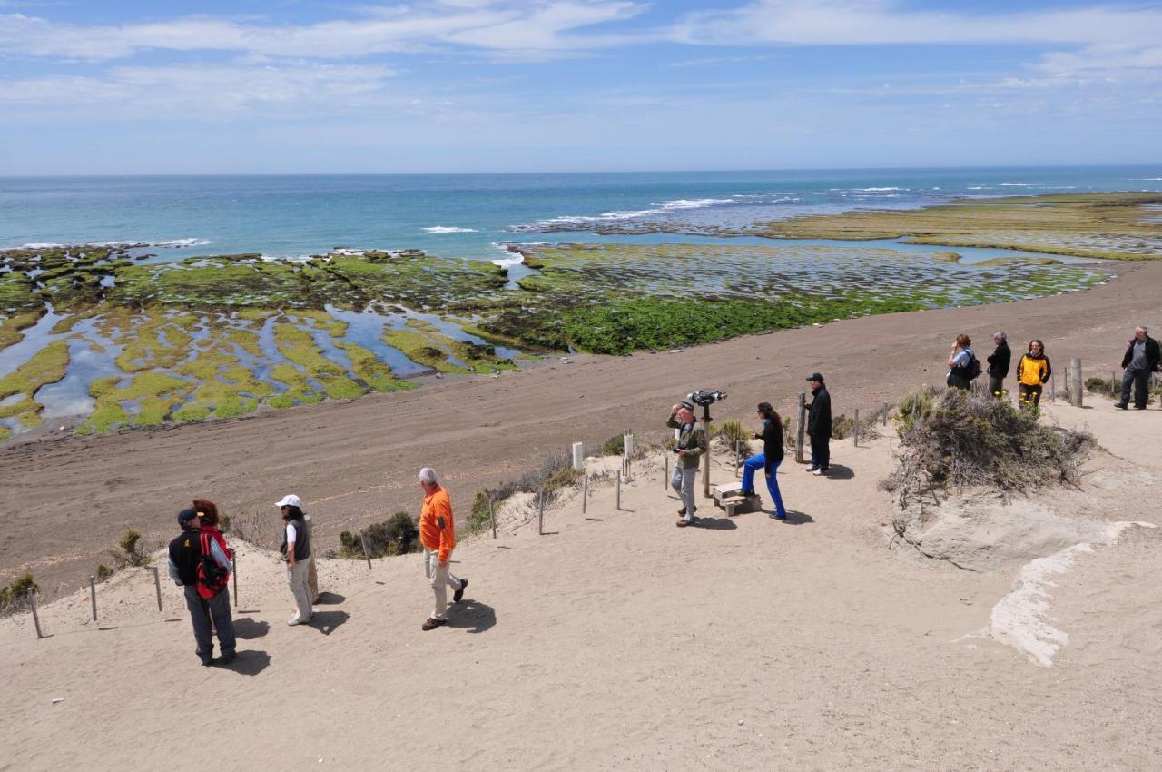 La Tosca Hostel Puerto Madryn Dış mekan fotoğraf
