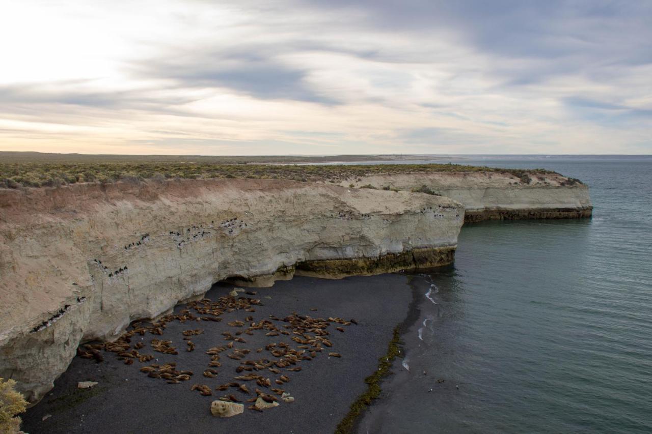 La Tosca Hostel Puerto Madryn Dış mekan fotoğraf