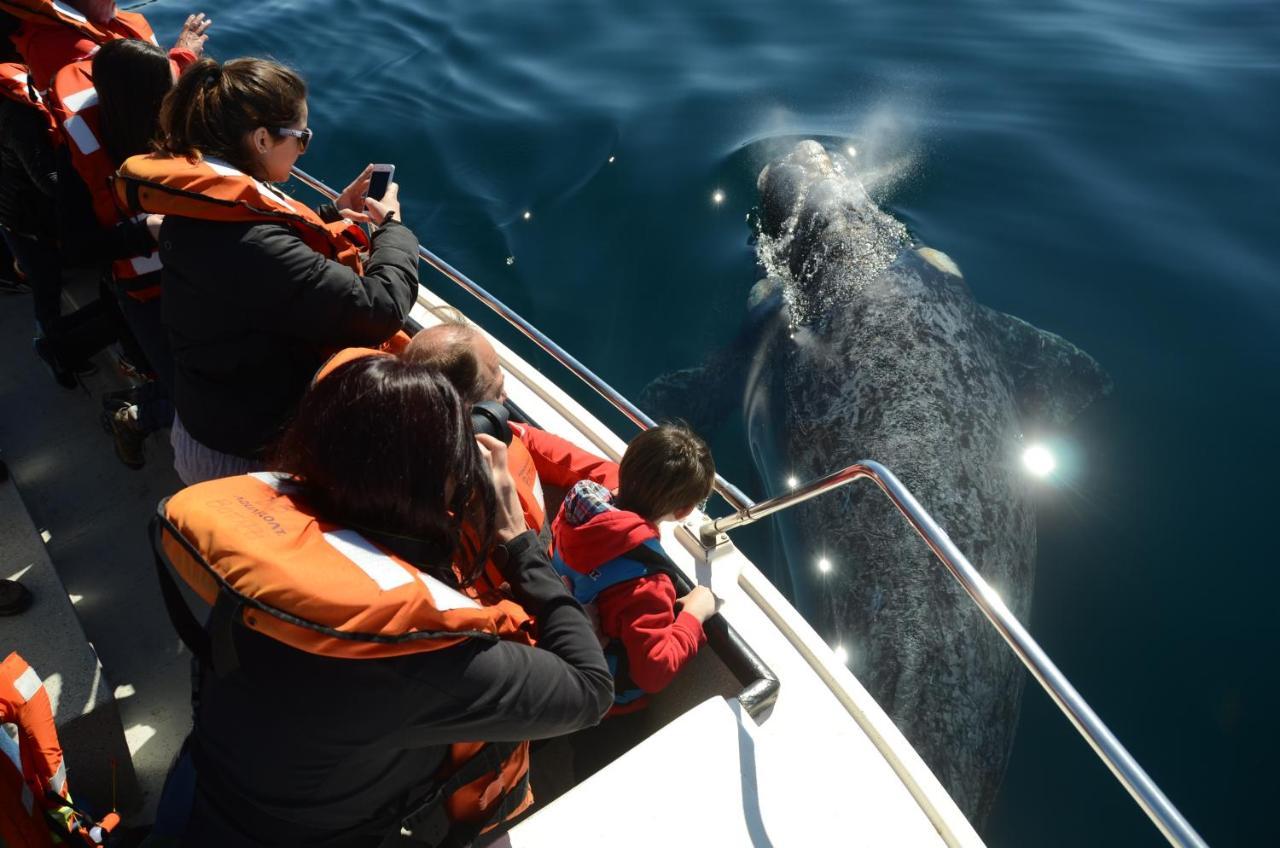 La Tosca Hostel Puerto Madryn Dış mekan fotoğraf